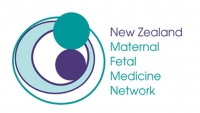 NZMFMN Logo 2